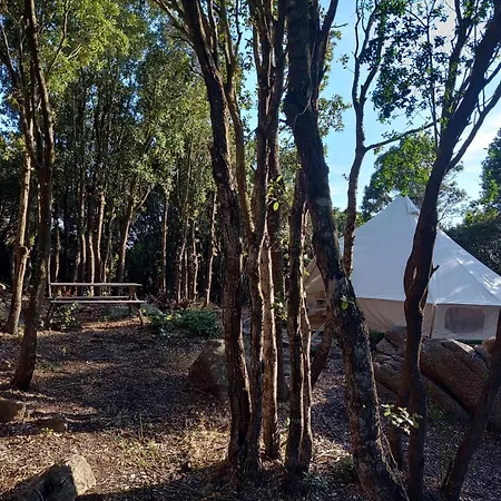 Campsite La Cera Farm Santa Teresa Gallura