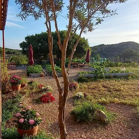 La Cera Farm Santa Teresa Gallura
