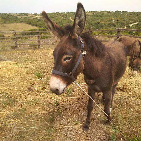 La Cera Farm