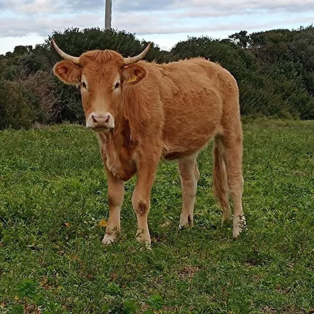 La Cera Farm *