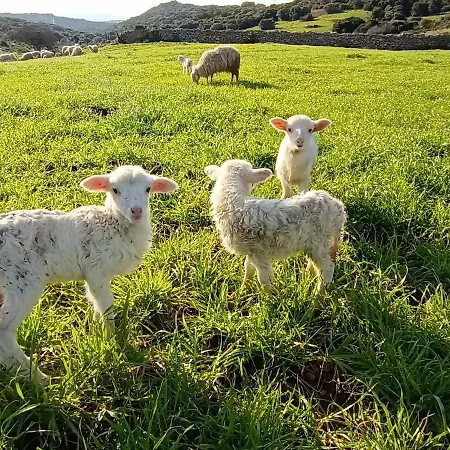 La Cera Farm Kemp *