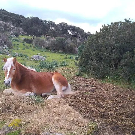 La Cera Farm Kemp *