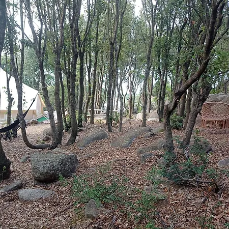 La Cera Farm * Santa Teresa Gallura