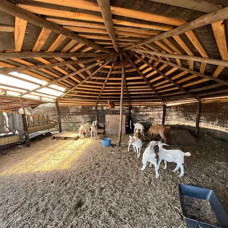 La Cera Farm Kemp Santa Teresa Gallura