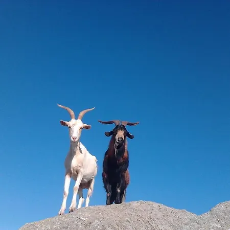 La Cera Farm مكان تخييم *