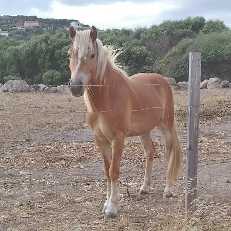 مكان تخييم La Cera Farm *