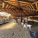 La Cera Farm אתר קמפינג סנטה טרזה גאיורה