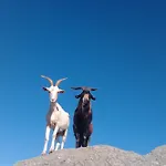 La Cera Farm אתר קמפינג *