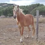 אתר קמפינג La Cera Farm *