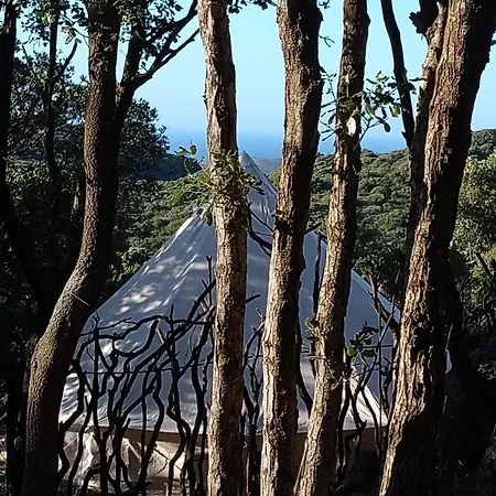 キャンプ場 La Cera Farm