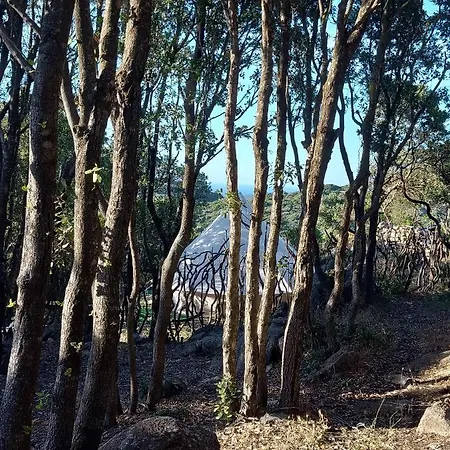 La Cera Farm キャンプ場