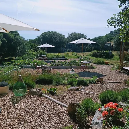 Campsite La Cera Farm Santa Teresa Gallura