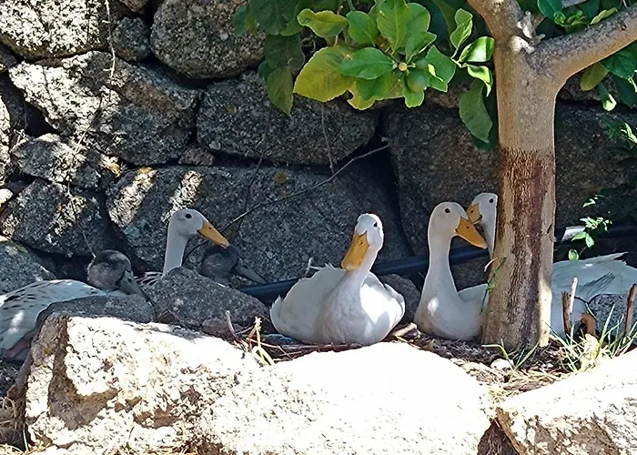 Kemping La Cera Farm *