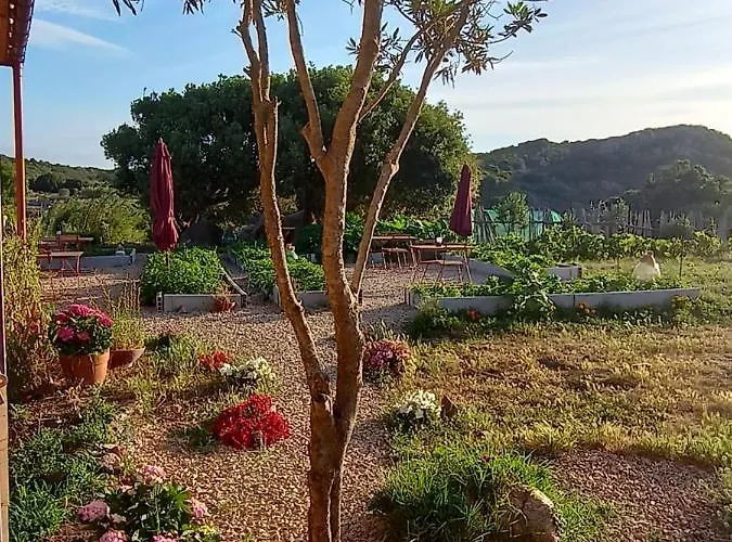 La Cera Farm Santa Teresa Gallura