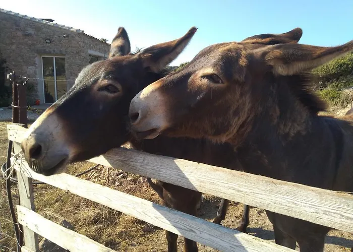 Kemping La Cera Farm Santa Teresa Gallura