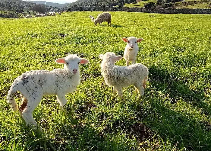 La Cera Farm Kemping *