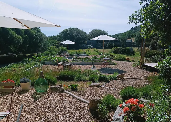 Camping La Cera Farm Santa Teresa Gallura