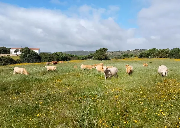 Kemping La Cera Farm *