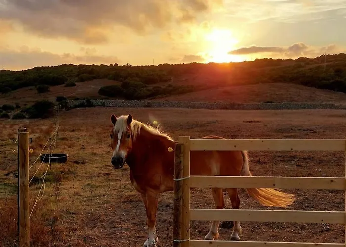 Kemping La Cera Farm *