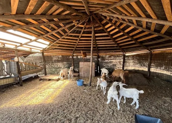 La Cera Farm Camping Santa Teresa Gallura