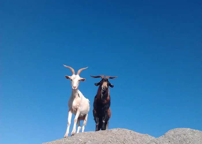 La Cera Farm Kemping *