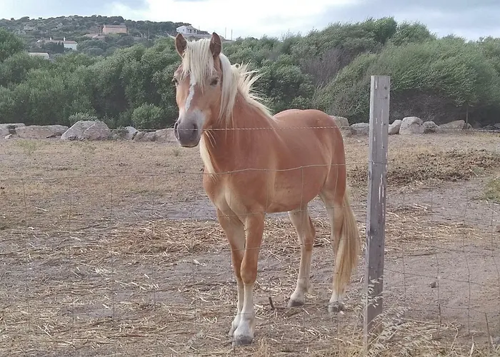 Kemping La Cera Farm *